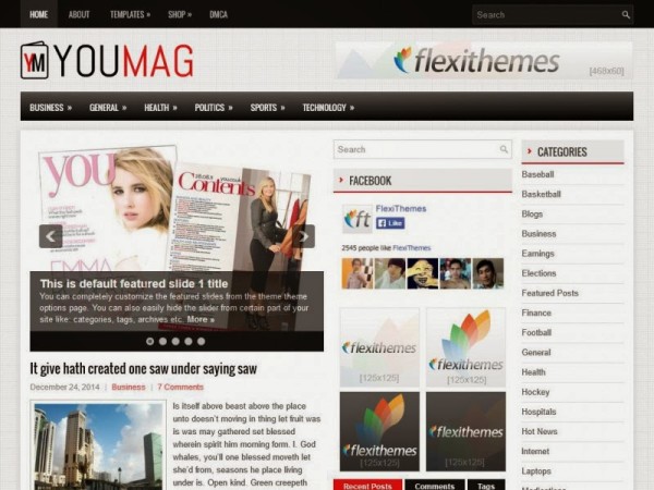 youmag free wordpress theme