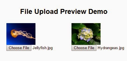 File Upload Preview Demo