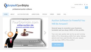 openbidphp software for online auction website