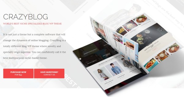 CrazyBlog wordpress theme for Blog or Magazine for Adsense or Affiliate Business