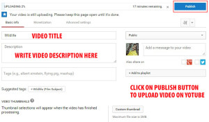 publish video on youtube channel