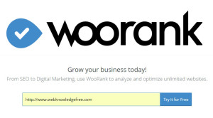 woorank free SEO tool for website review